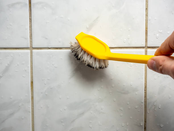 Best Attic Mold Removal  in Lake Of The Woods, AZ